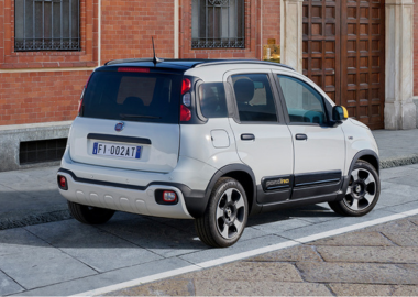 Panda-1.jpg