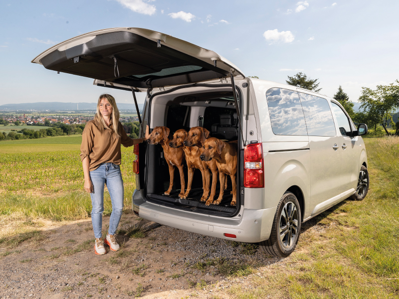 O melhor amigo de um cão: O Opel Zafira-e Life