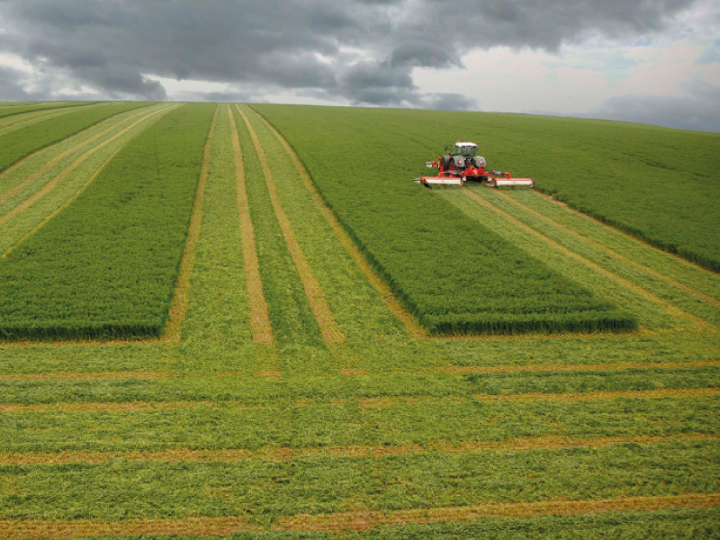 Kuhn: “A agricultura será tecnológica ou não será 